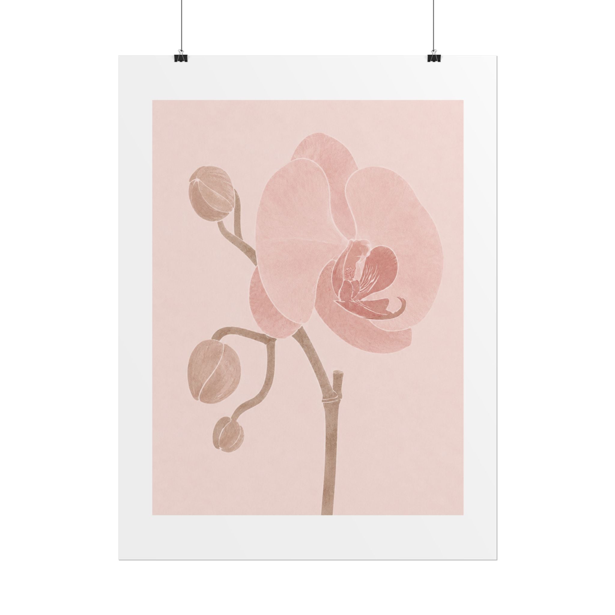 Soft Pink Orchid Print