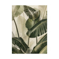 Tropical Foliage Print