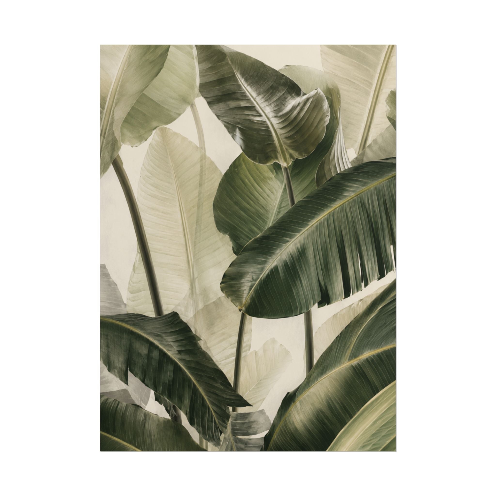 Tropical Foliage Print