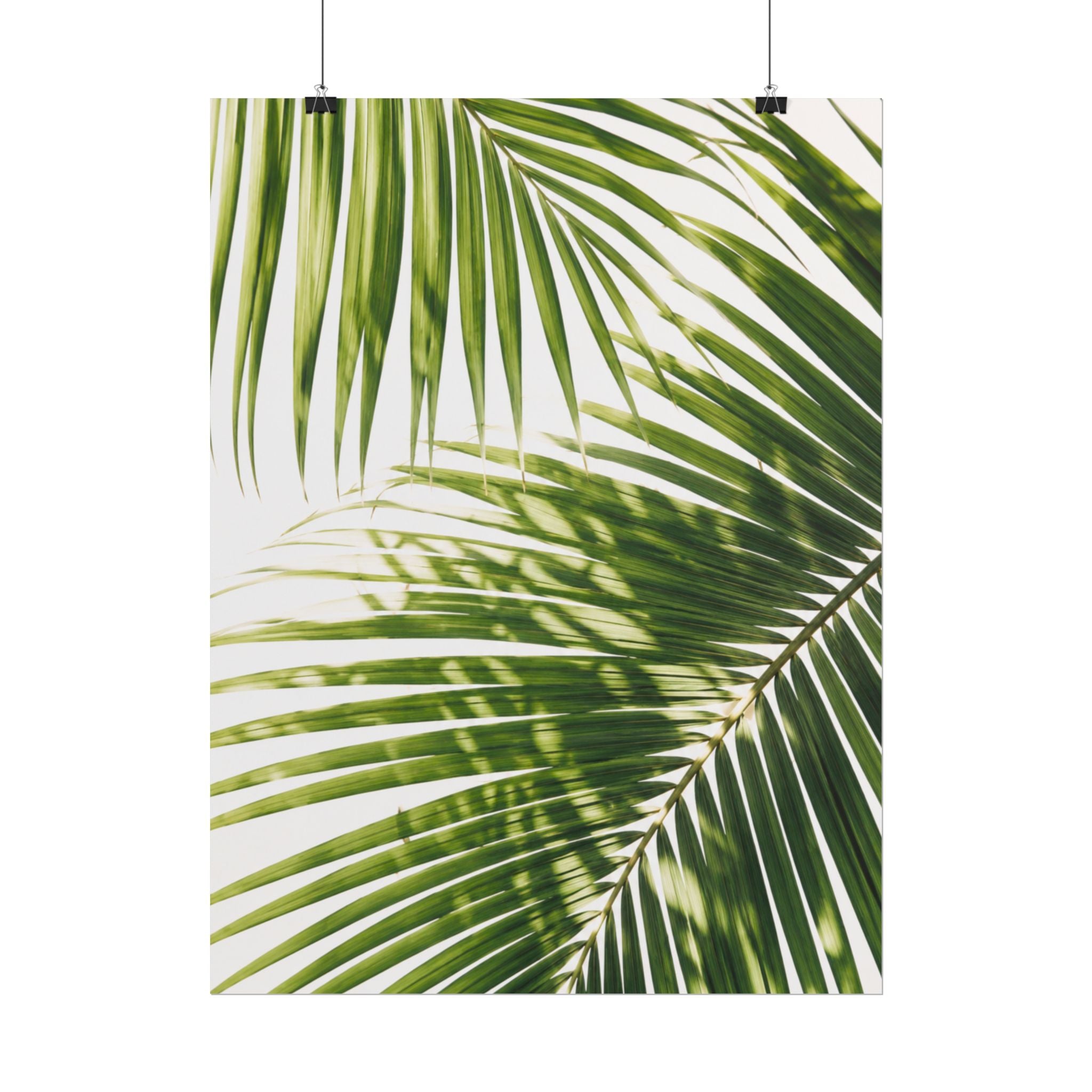 Palm Leaf Shadow Print