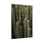 Column Cactus Print