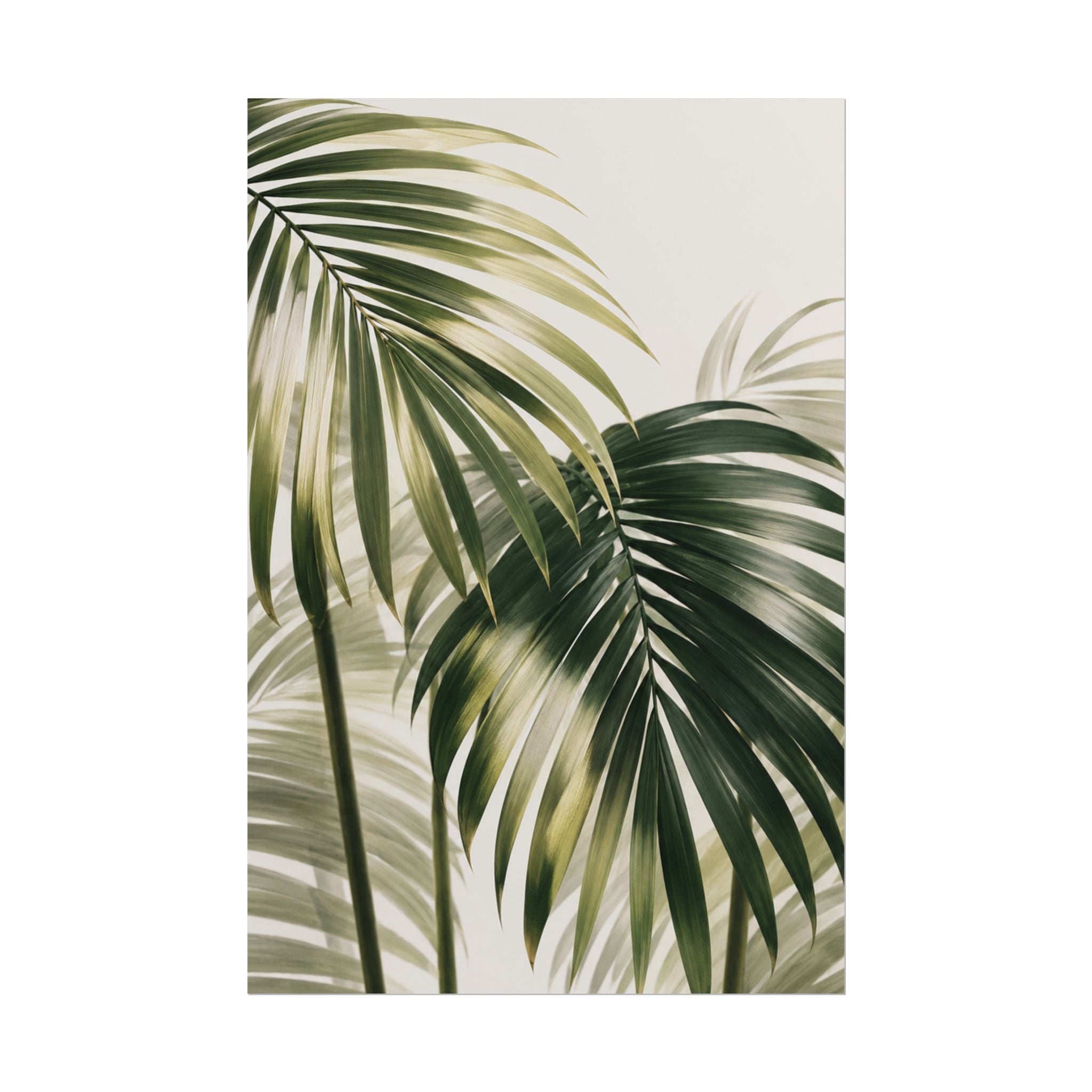 Palm Frond Print