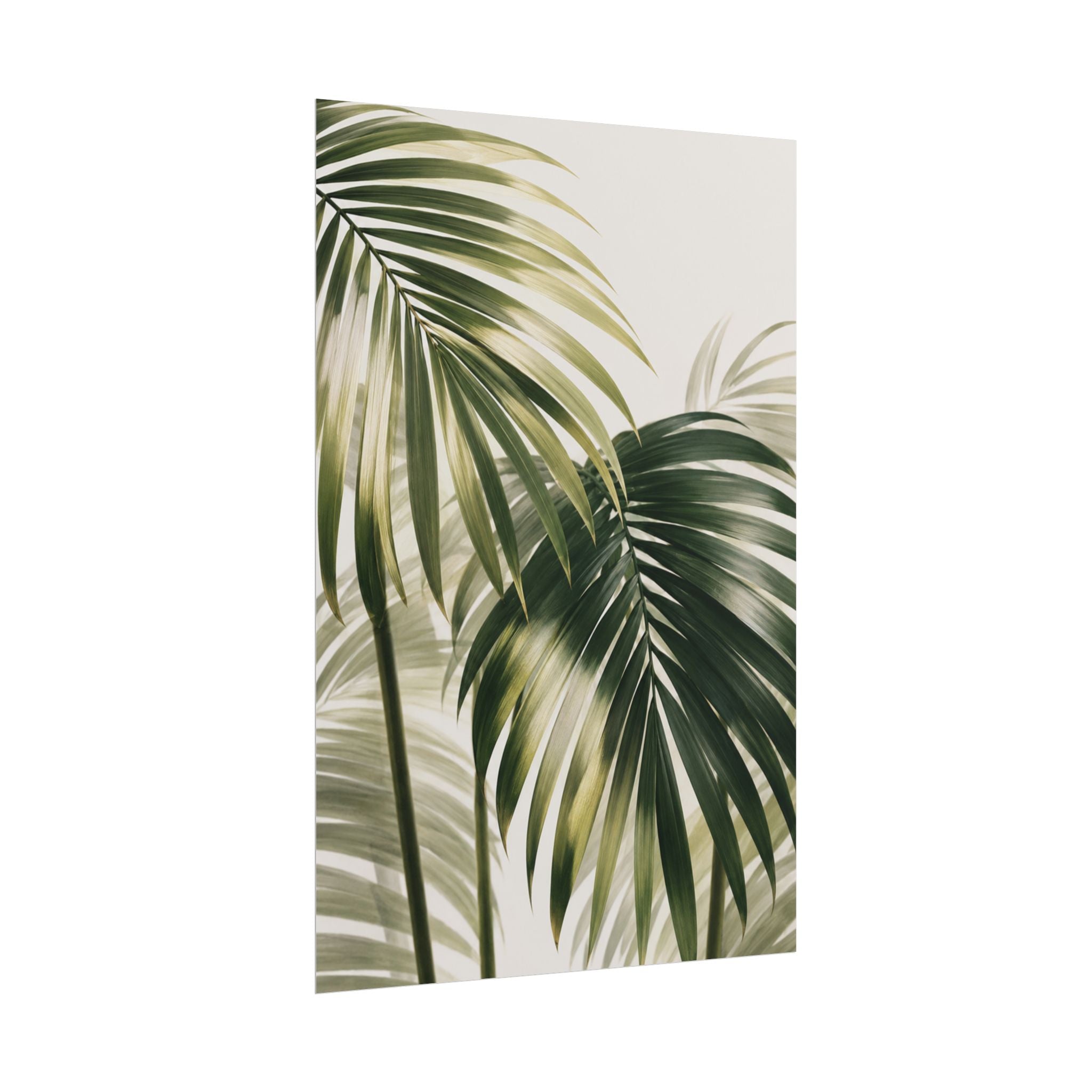 Palm Frond Print