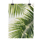 Palm Leaf Shadow Print