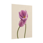 Purple Tulip Print