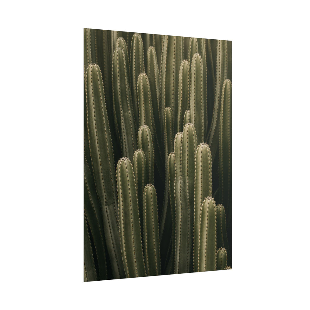Column Cactus Print
