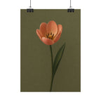 Peach Tulip Print