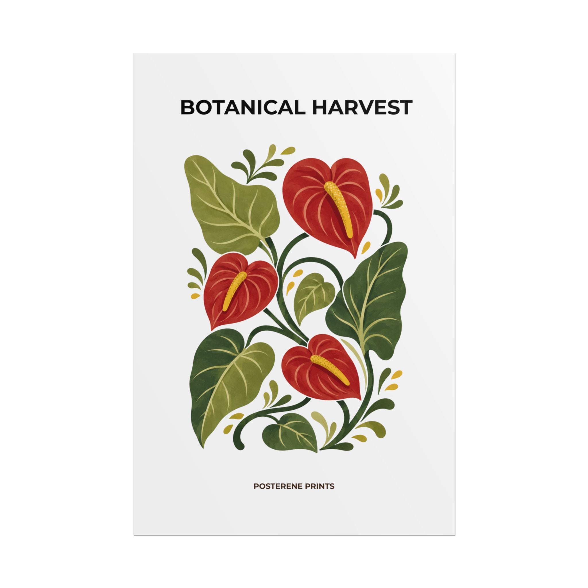 Anthurium Botanical Print