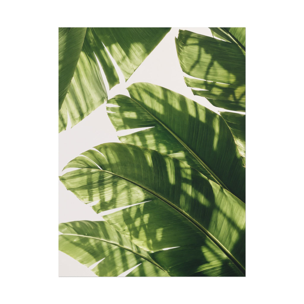 Banana Leaf Shadow Print
