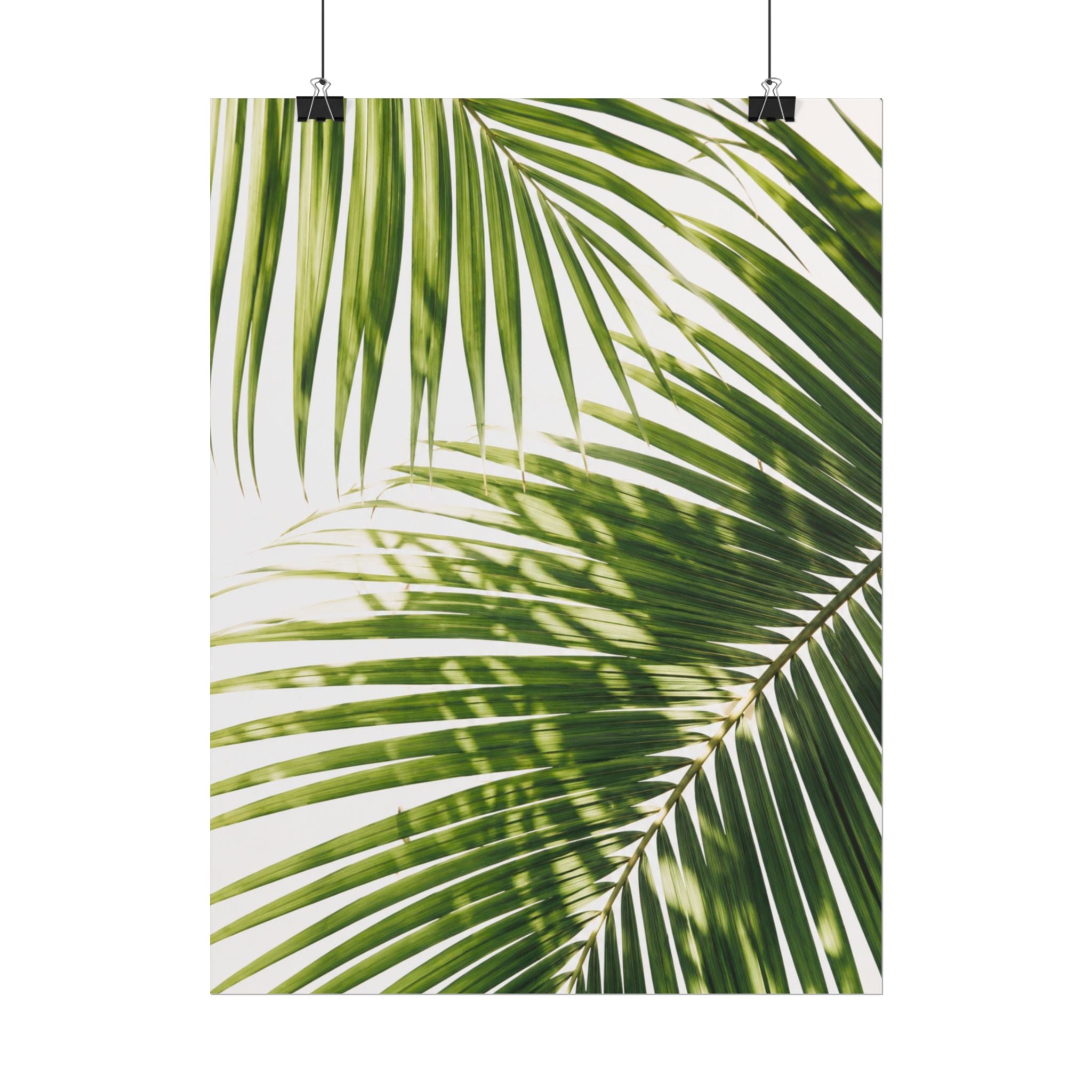 Palm Leaf Shadow Print