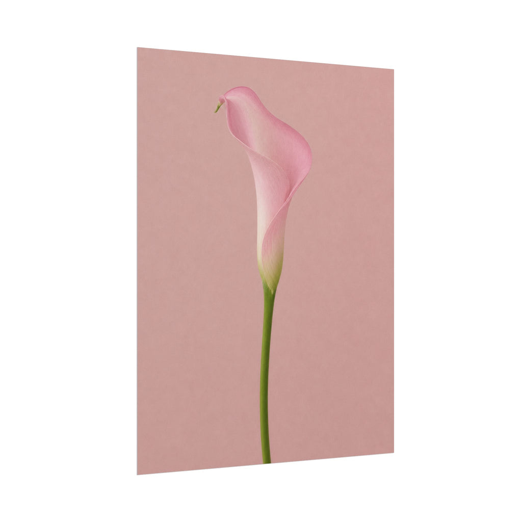Pink Calla Lily Print