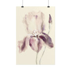 Purple Iris Print
