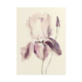 Purple Iris Print