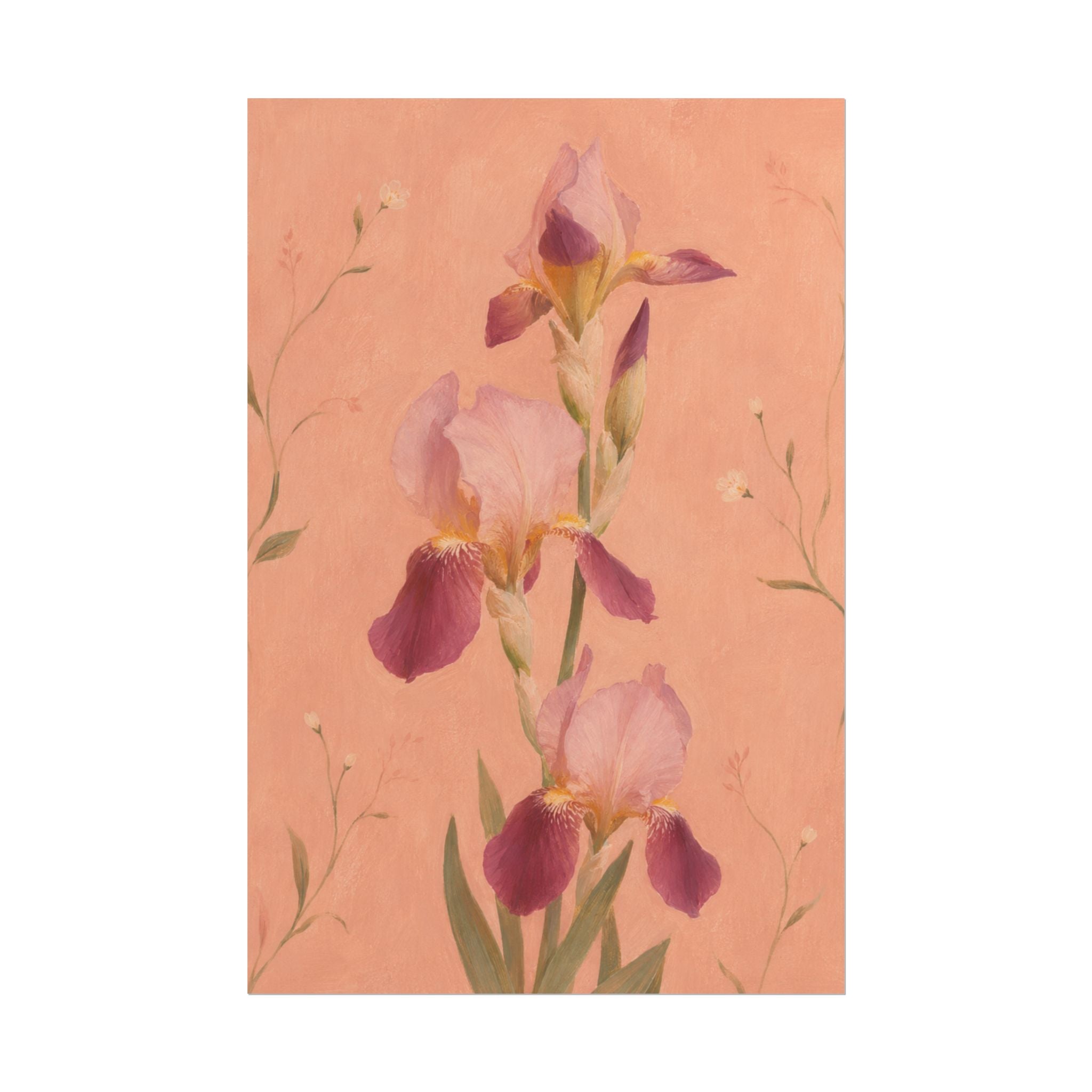Blush Iris Print