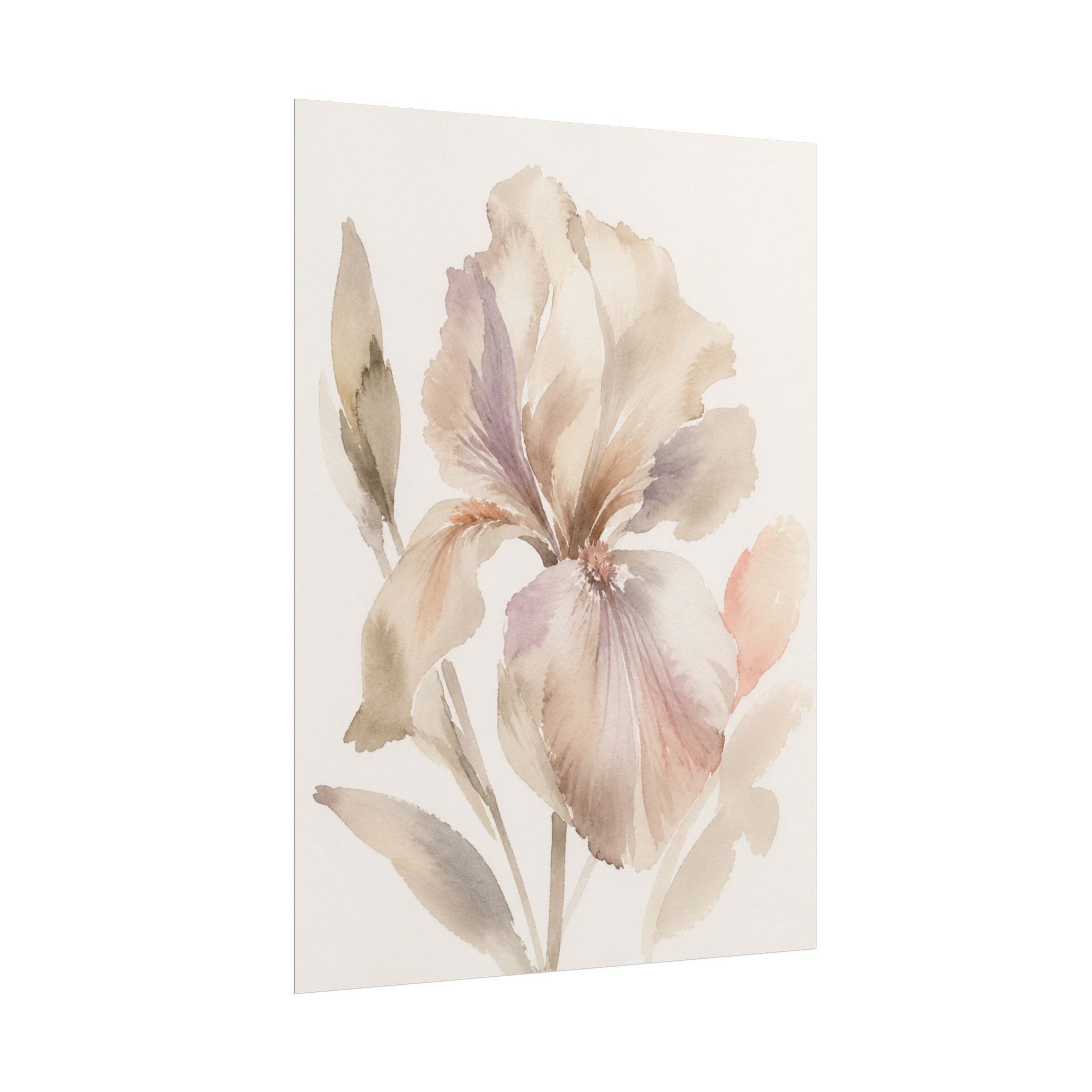 Soft White Iris Print