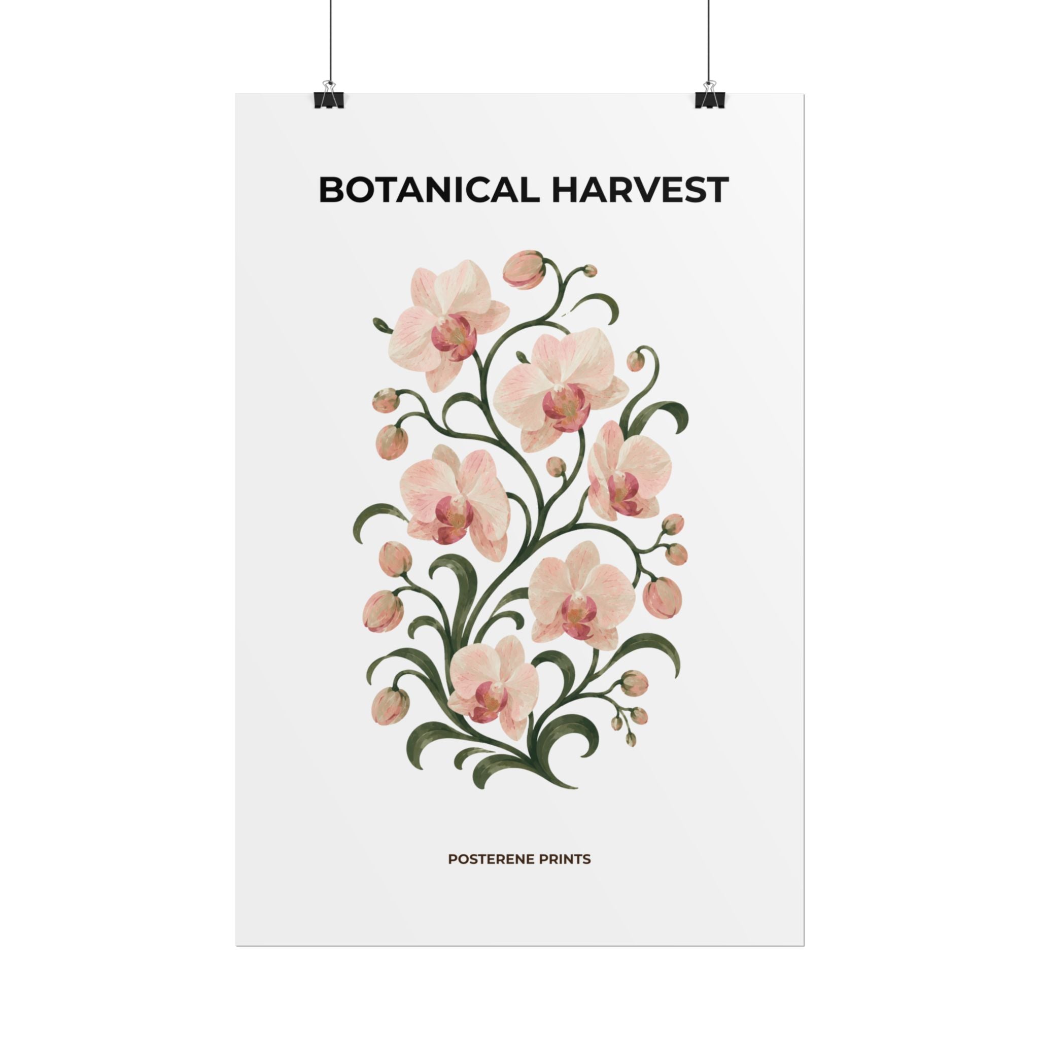 Soft Orchid Botanical Print