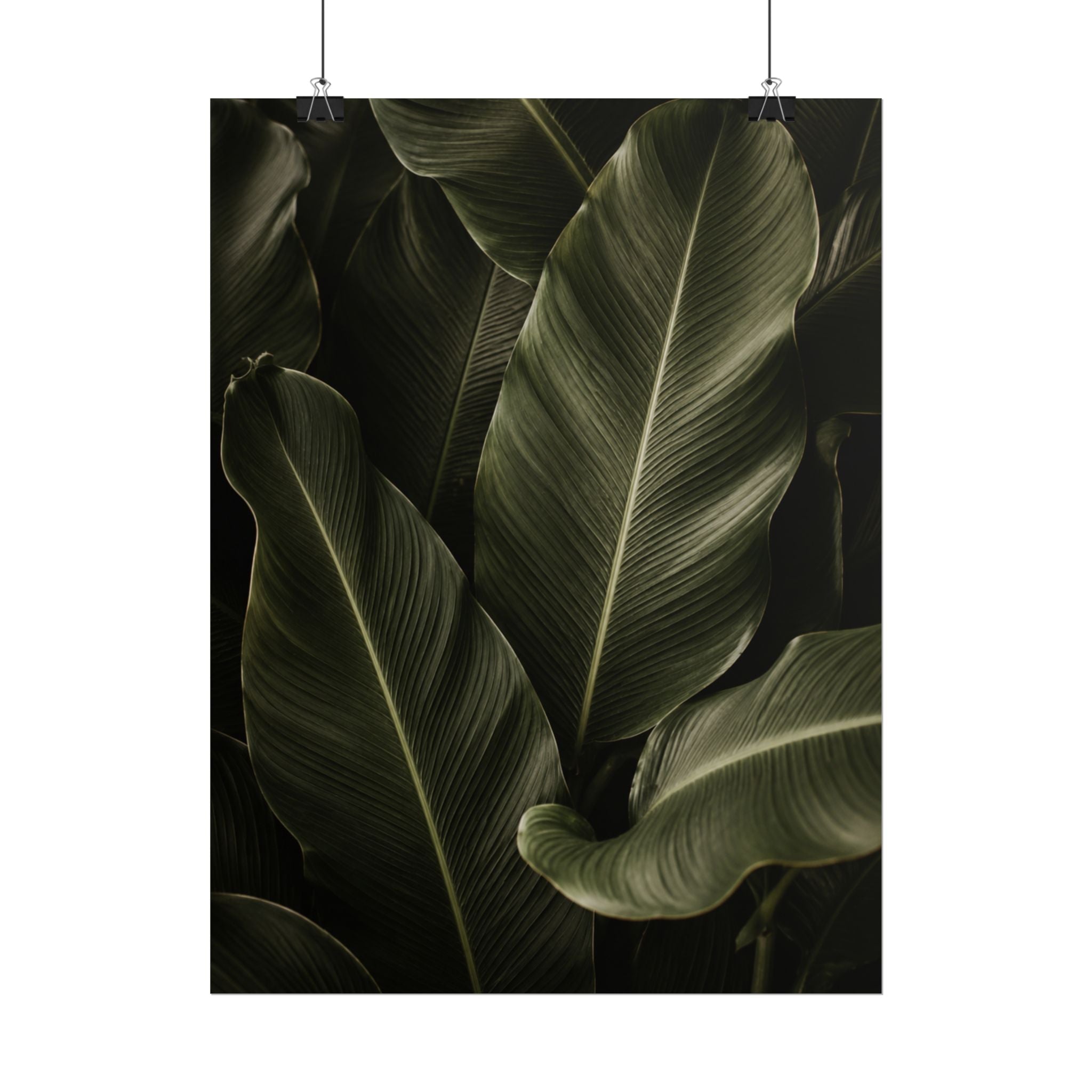 Dark Banana Leaf Print