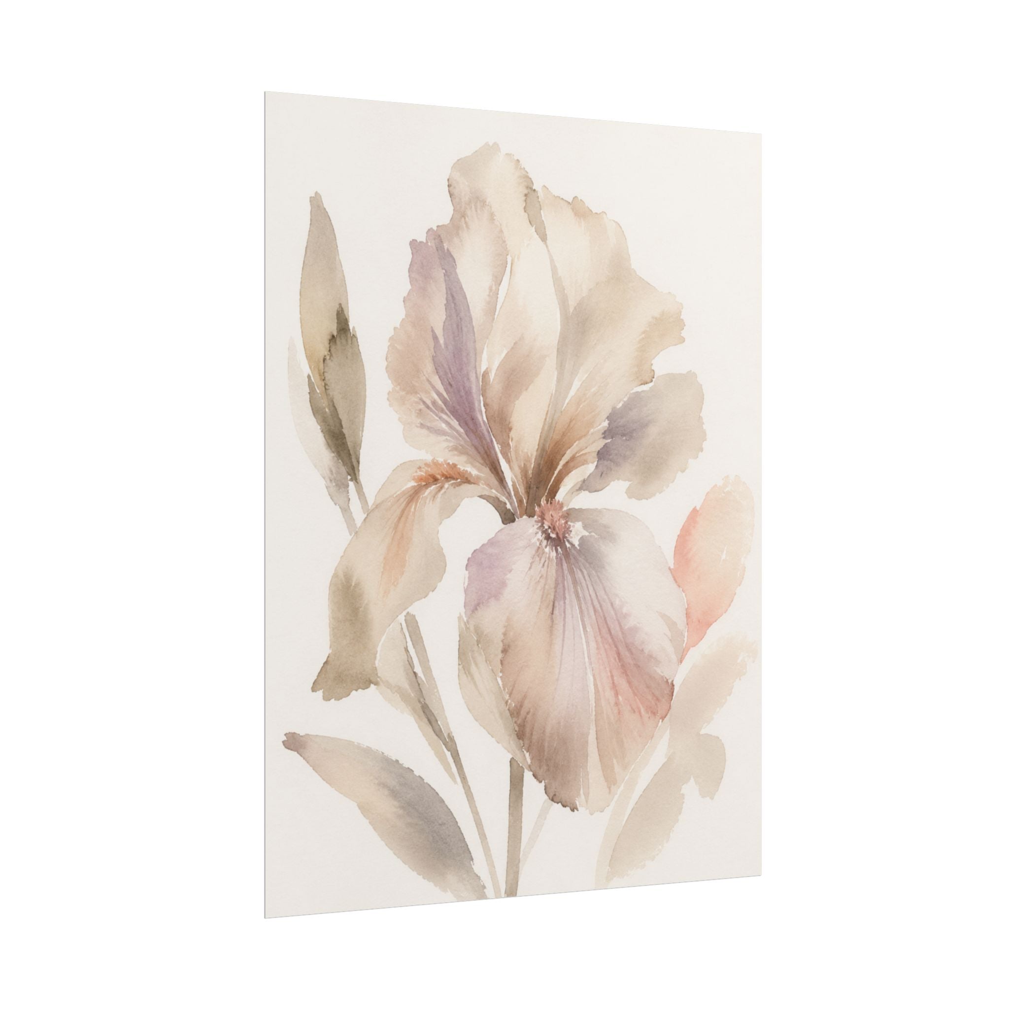 Soft White Iris Print