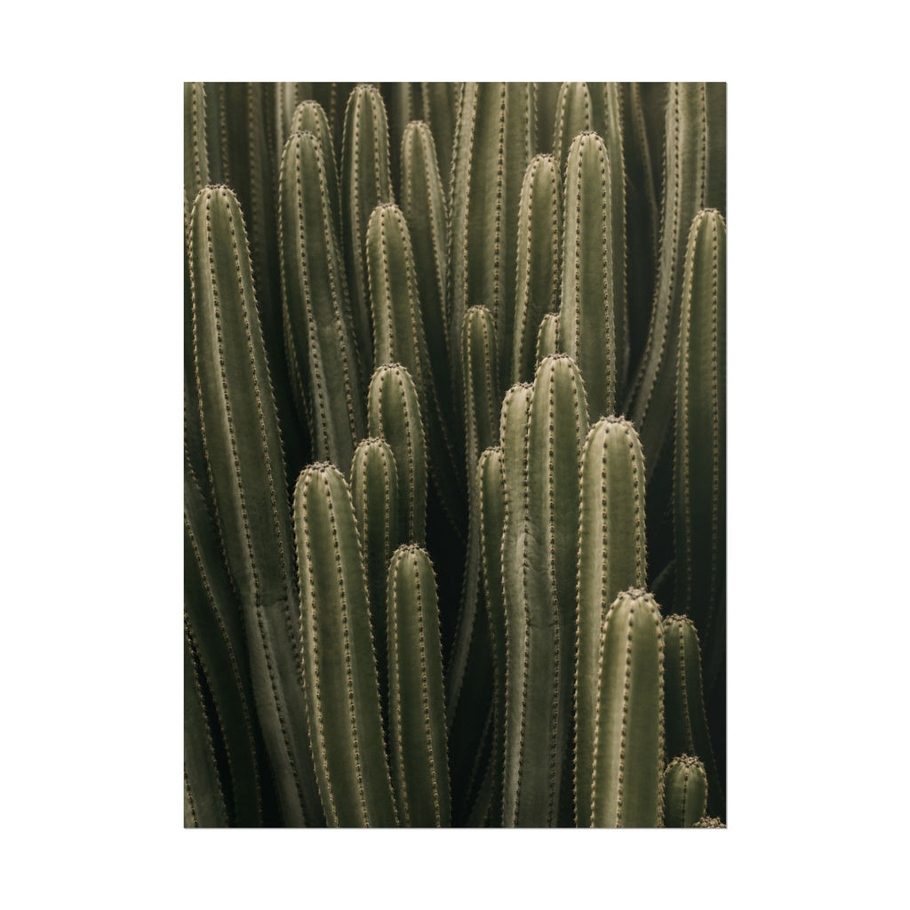 Column Cactus Print