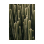 Column Cactus Print