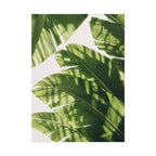 Banana Leaf Shadow Print