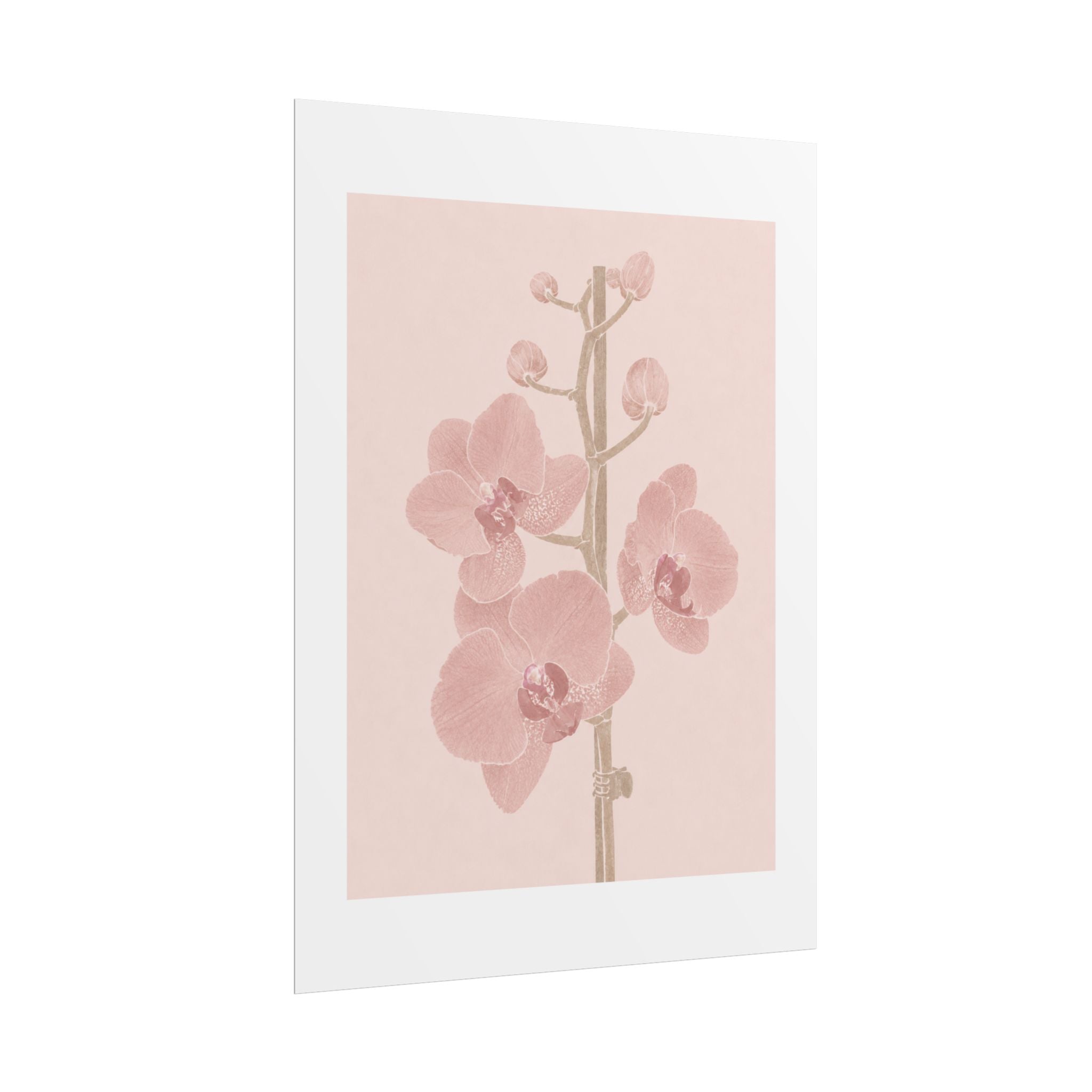 Blush Orchid Branch Print