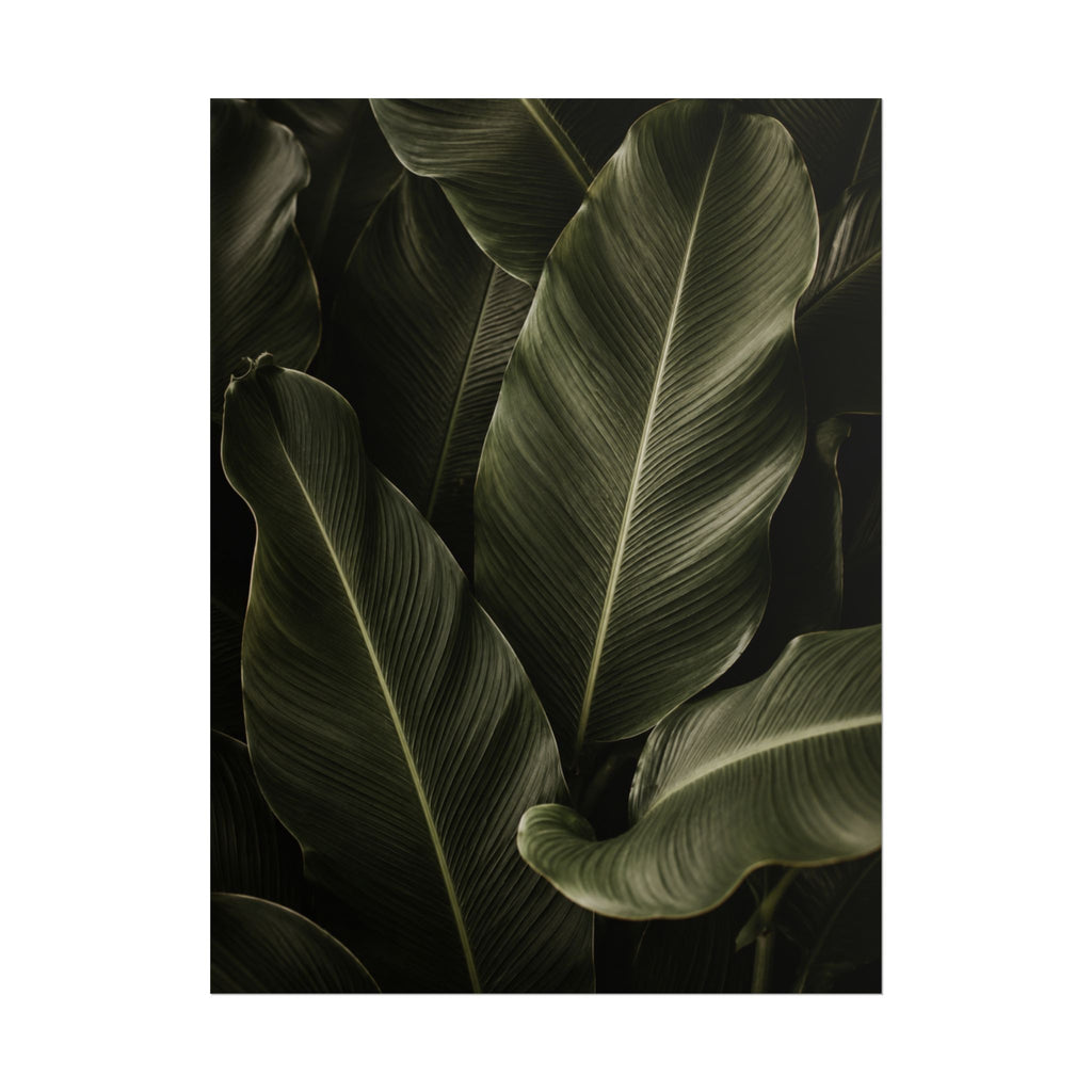 Dark Banana Leaf Print