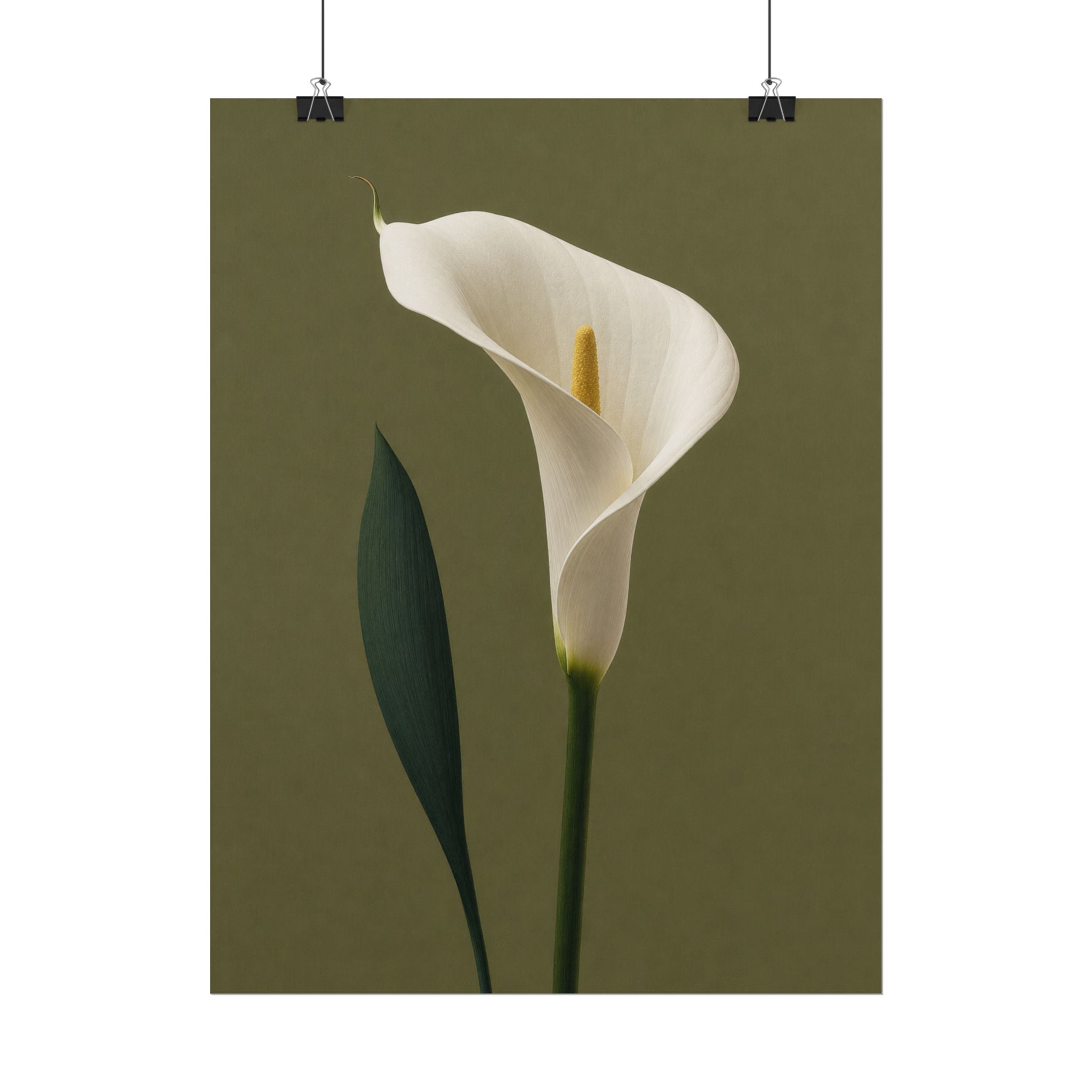 White Calla Lily Print