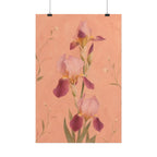 Blush Iris Print