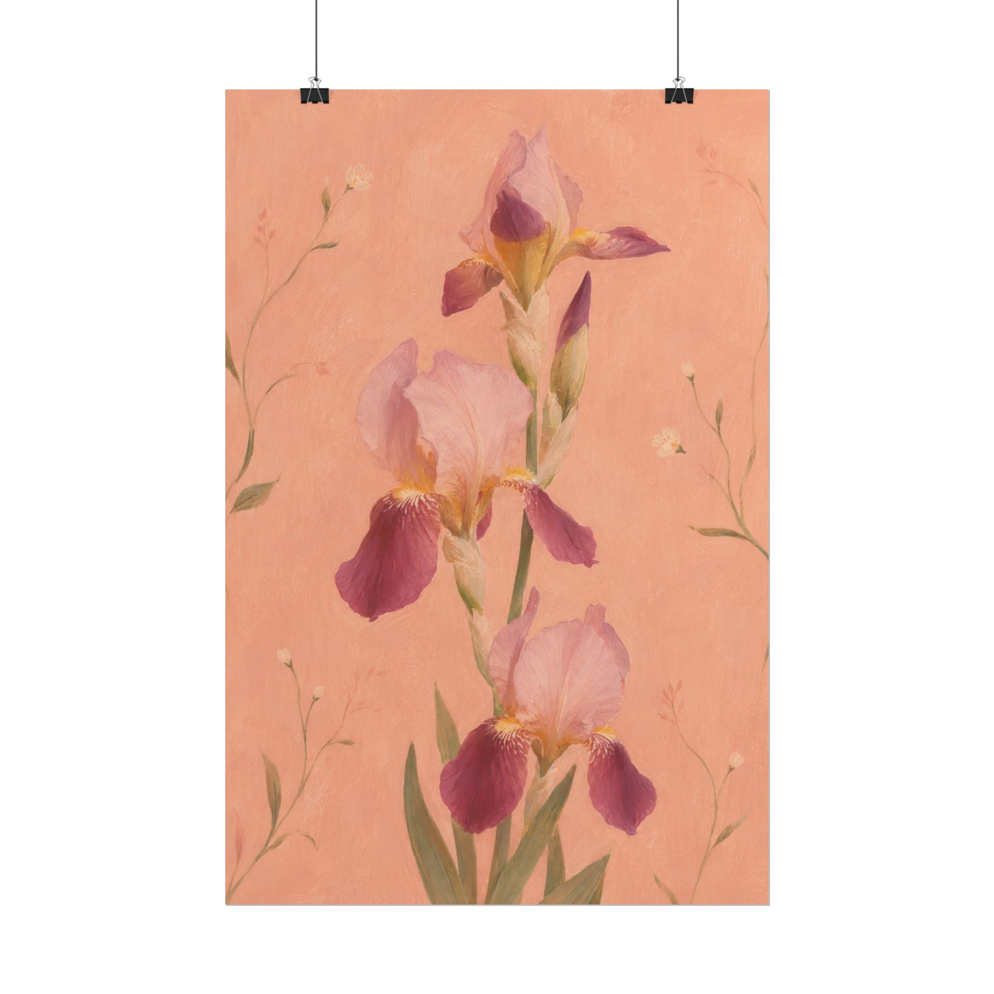 Blush Iris Print
