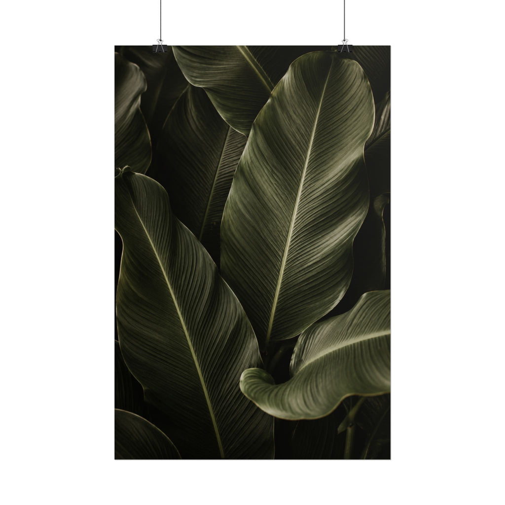 Dark Banana Leaf Print