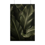 Dark Banana Leaf Print