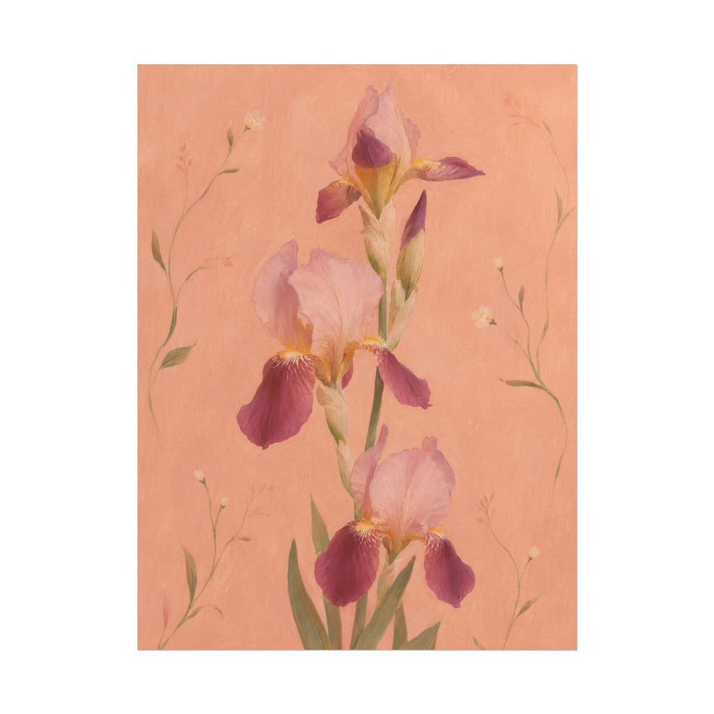 Blush Iris Print