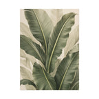 Banana Leaves Print