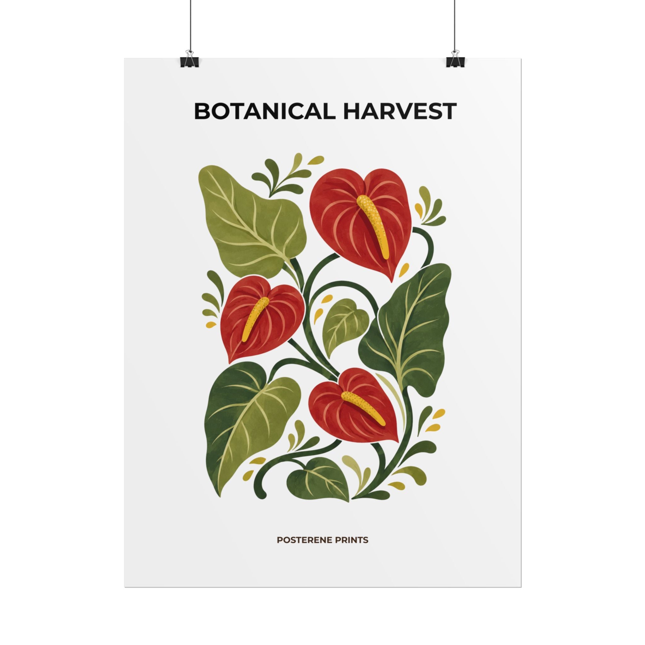 Anthurium Botanical Print