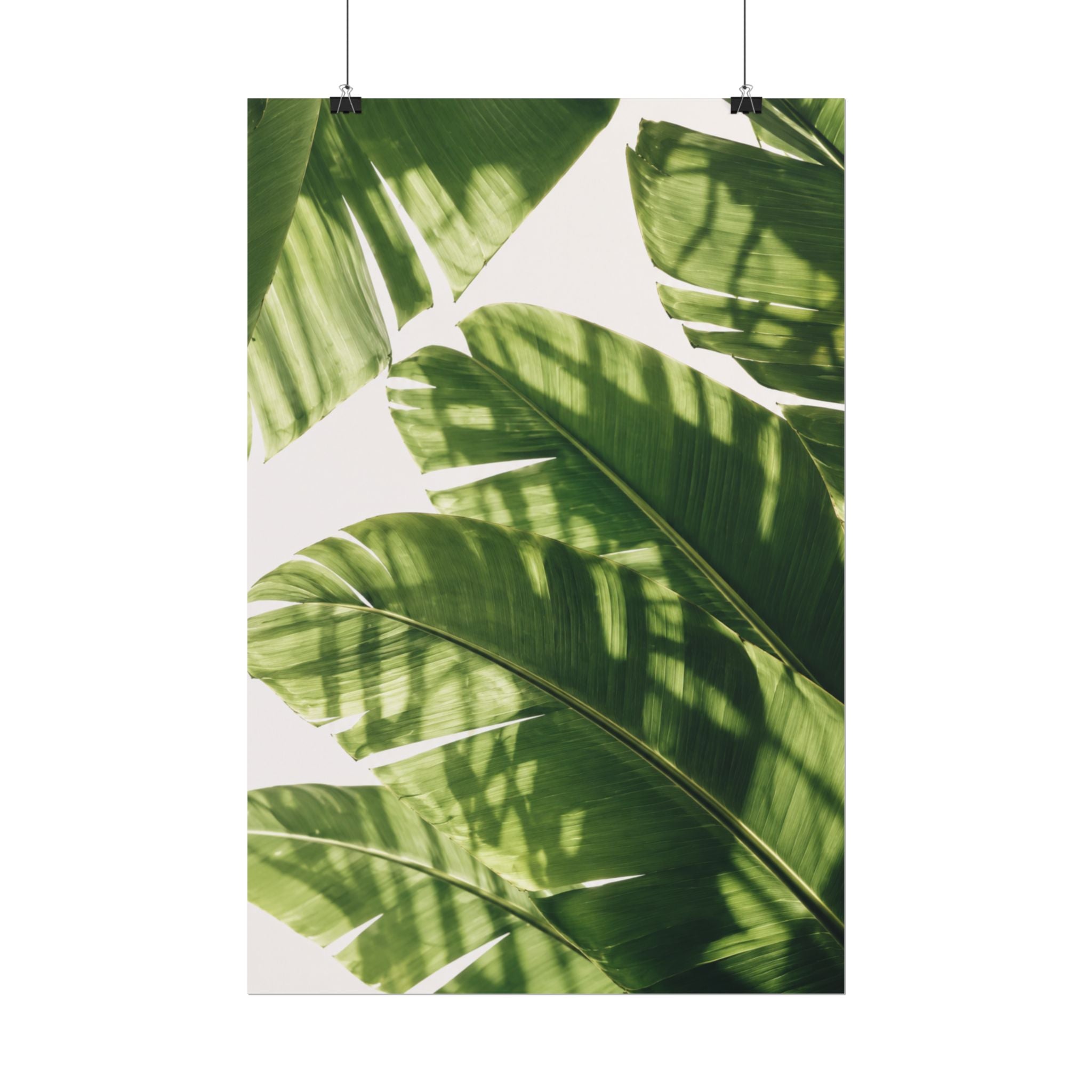 Banana Leaf Shadow Print