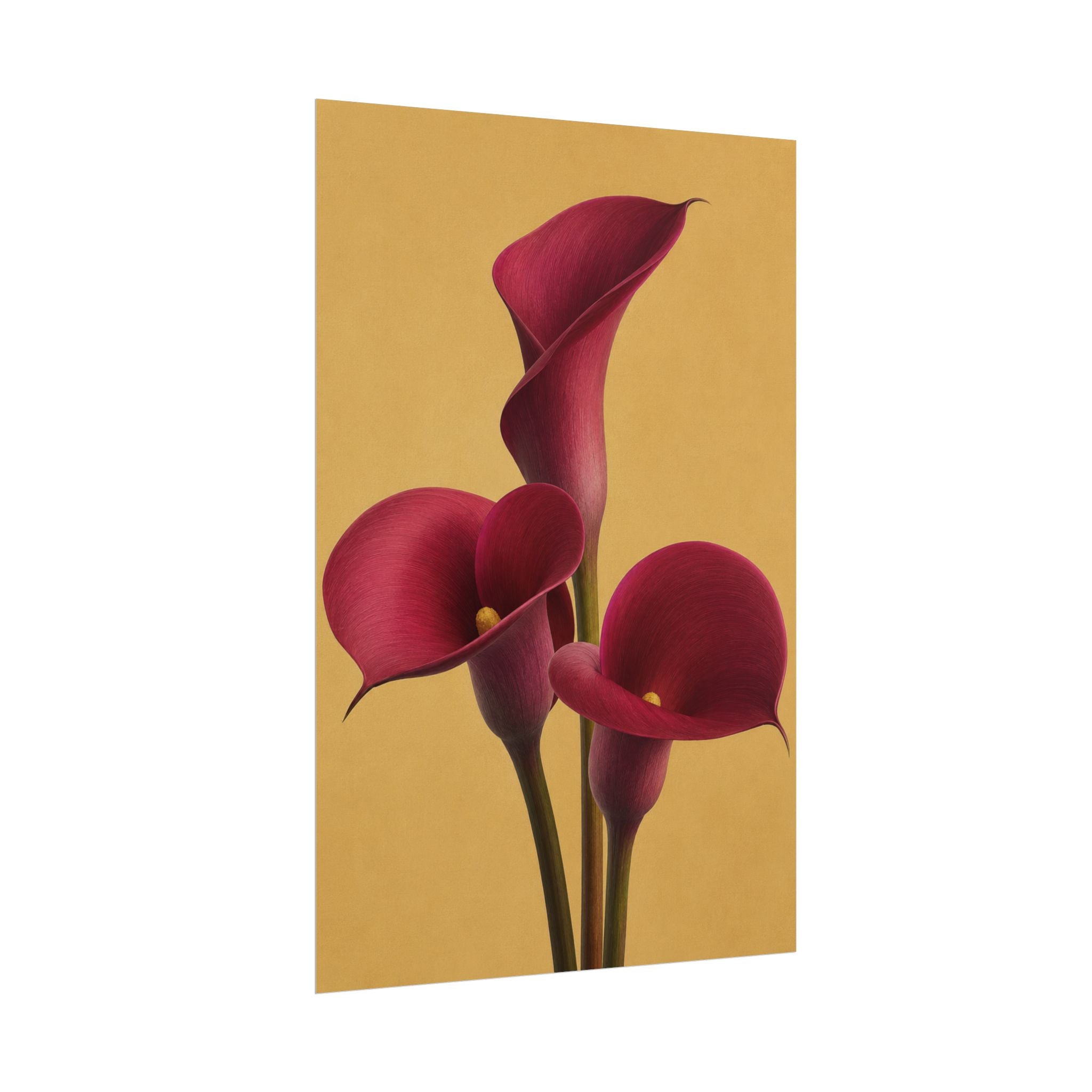 Burgundy Calla Lily Print