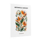 Bird of Paradise Botanical Print