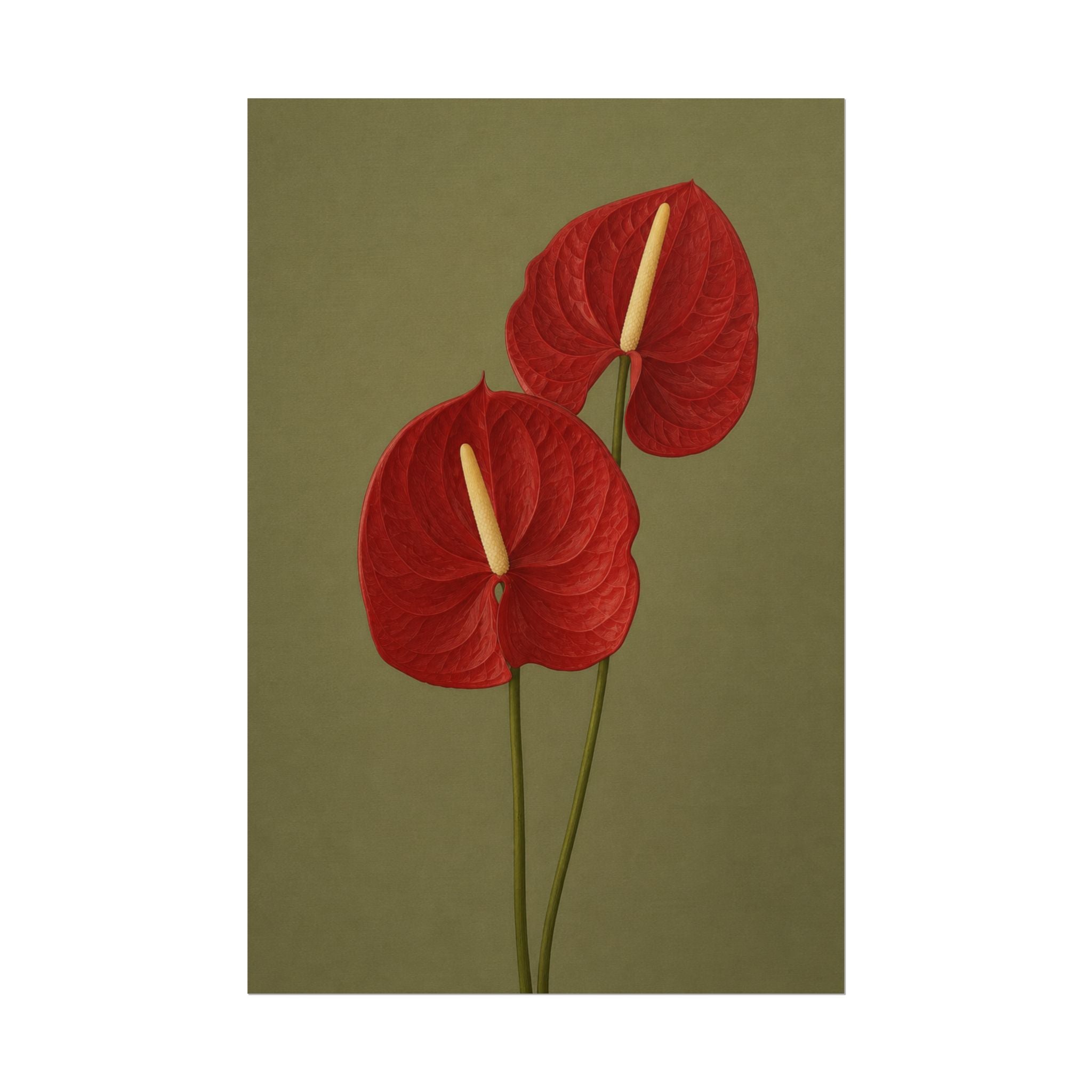 Red Anthurium Print