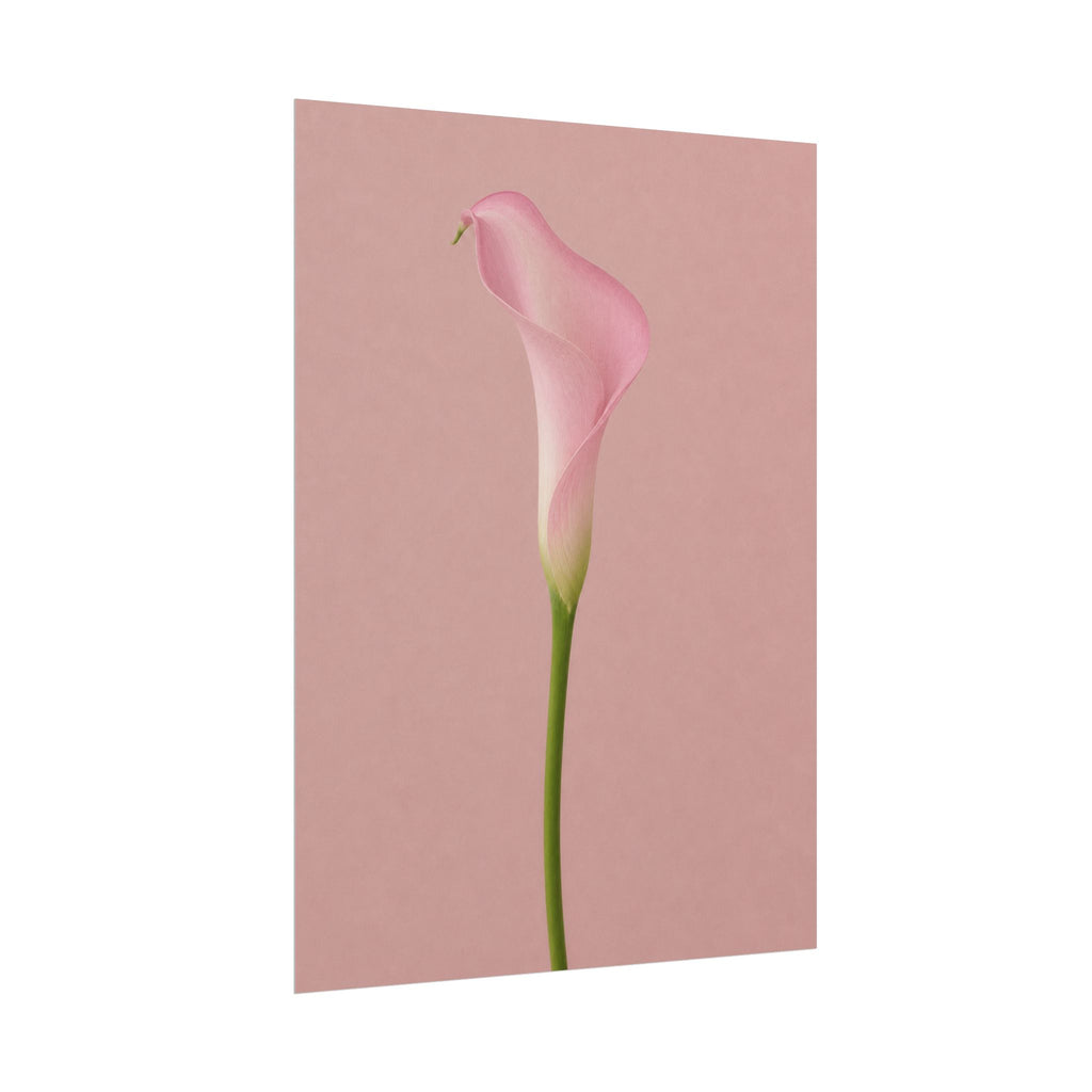 Pink Calla Lily Print