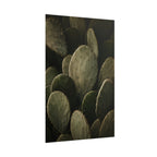 Dark Cactus Print