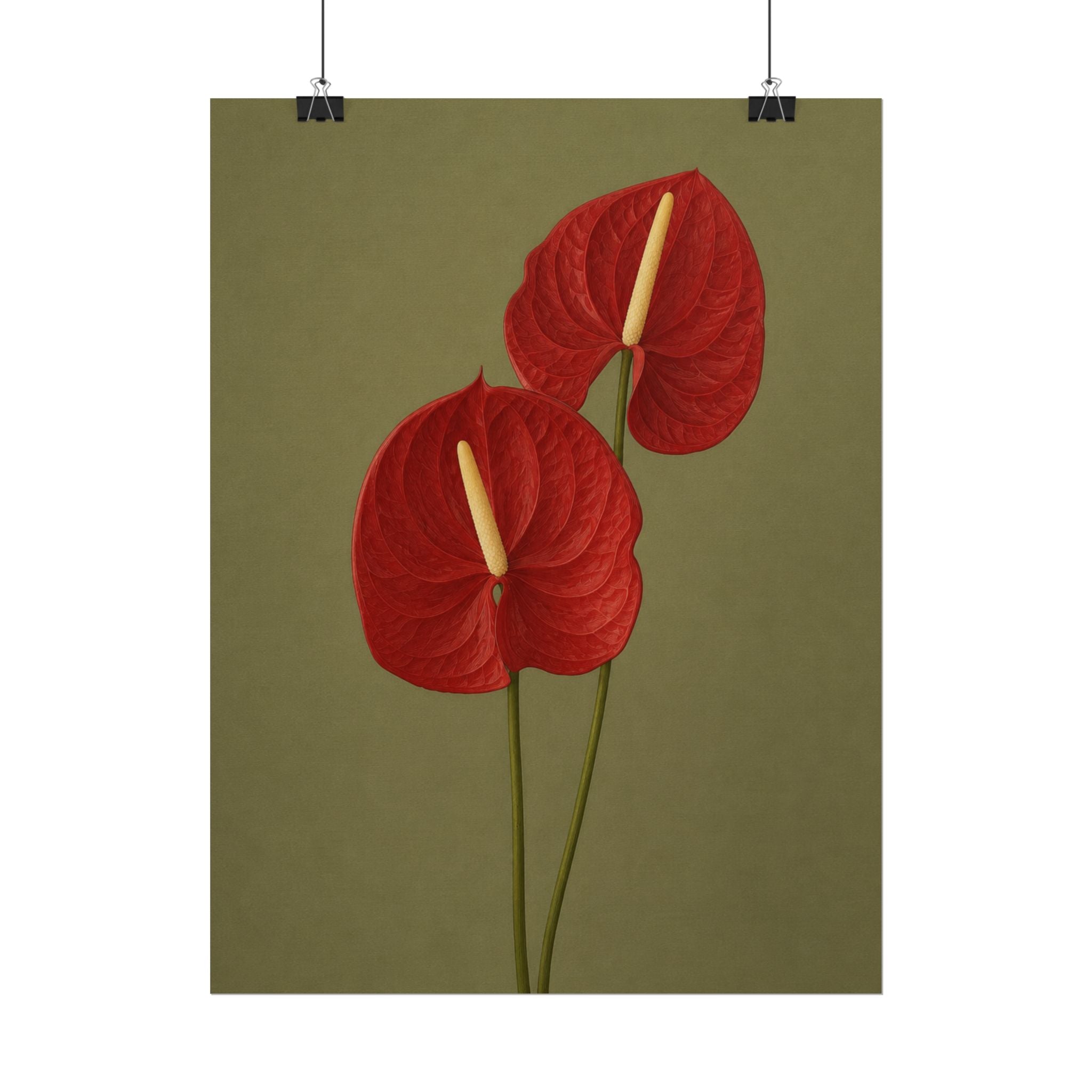 Red Anthurium Print