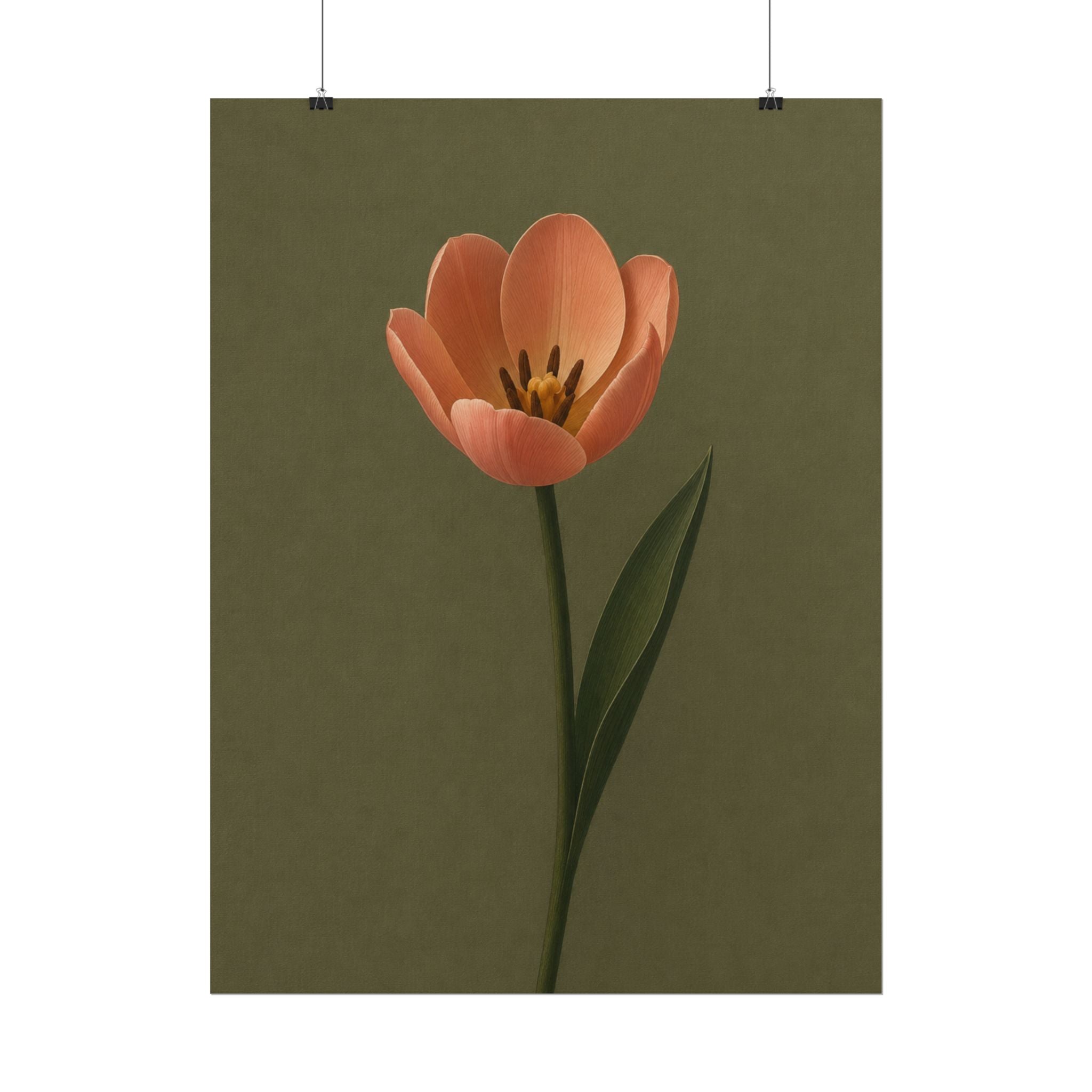 Peach Tulip Print