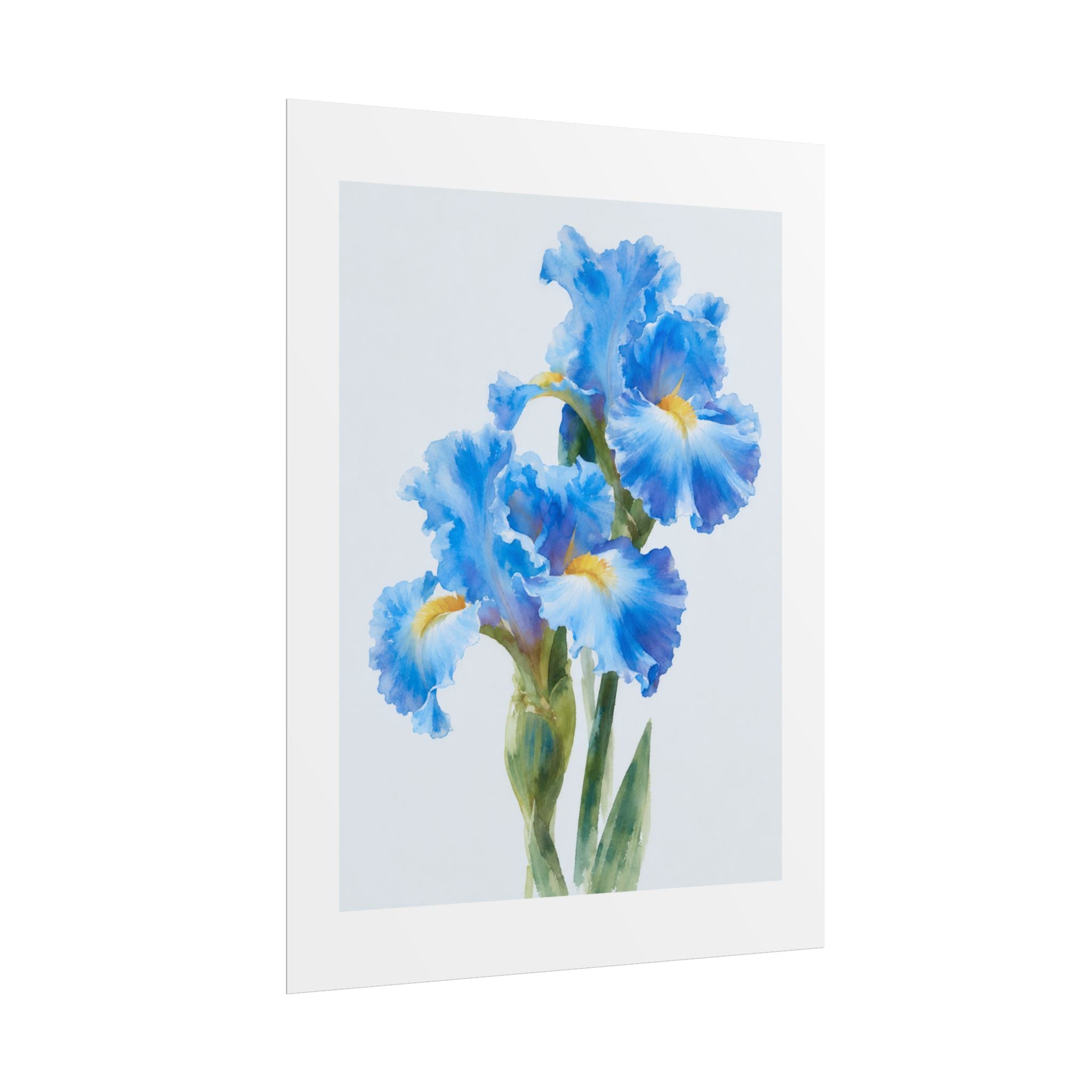 Blue Iris Watercolor Print