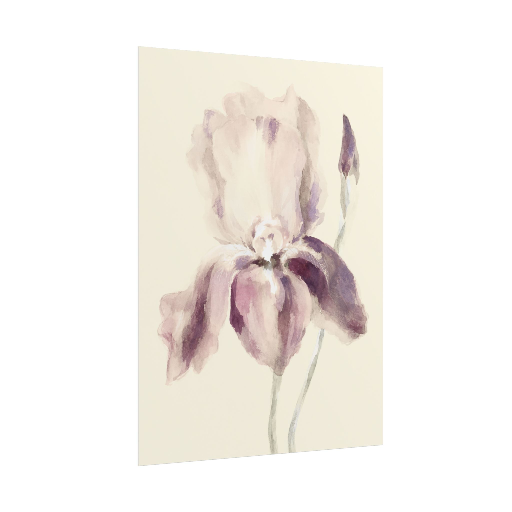 Purple Iris Print
