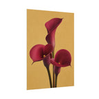 Burgundy Calla Lily Print