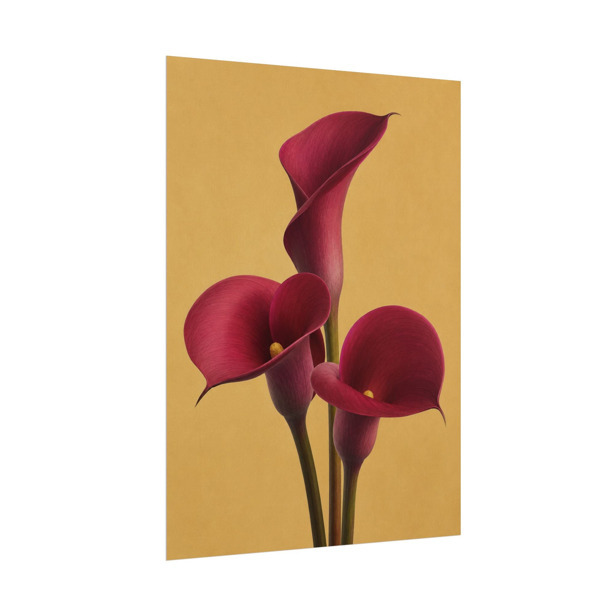 Burgundy Calla Lily Print