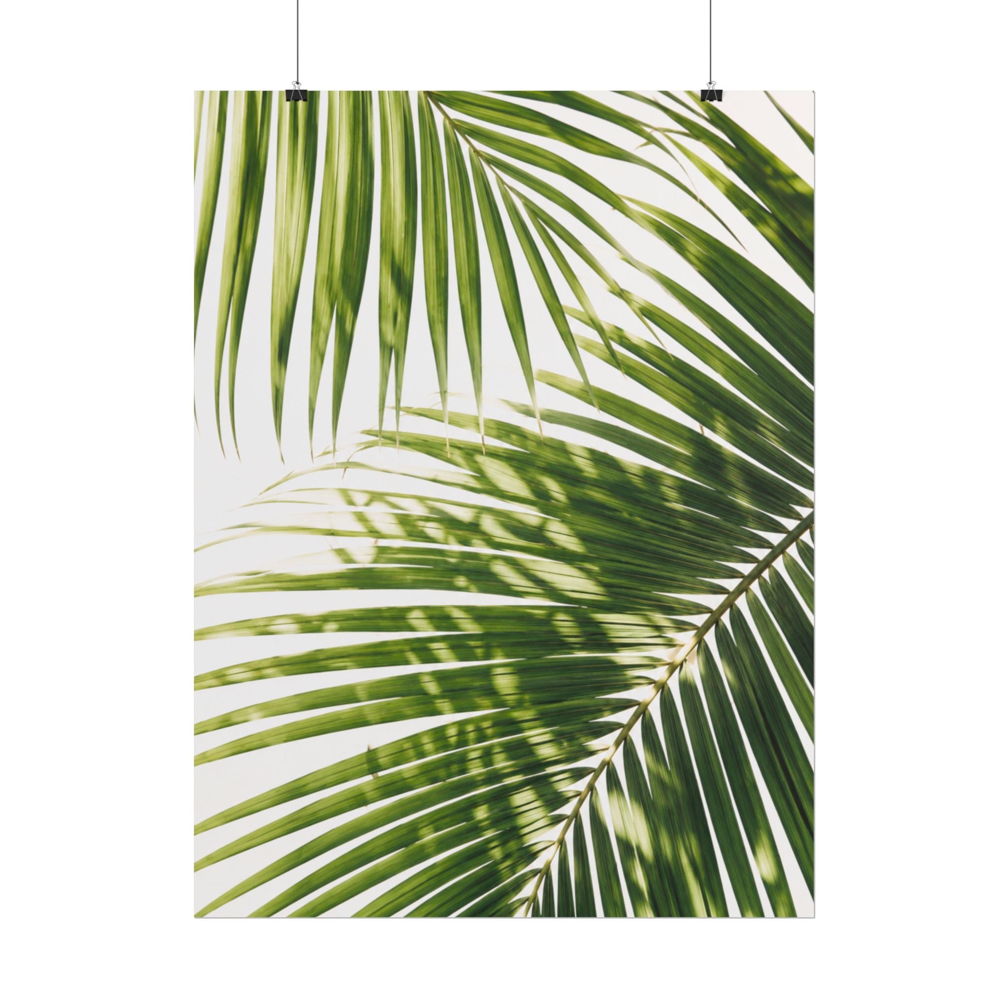 Palm Leaf Shadow Print