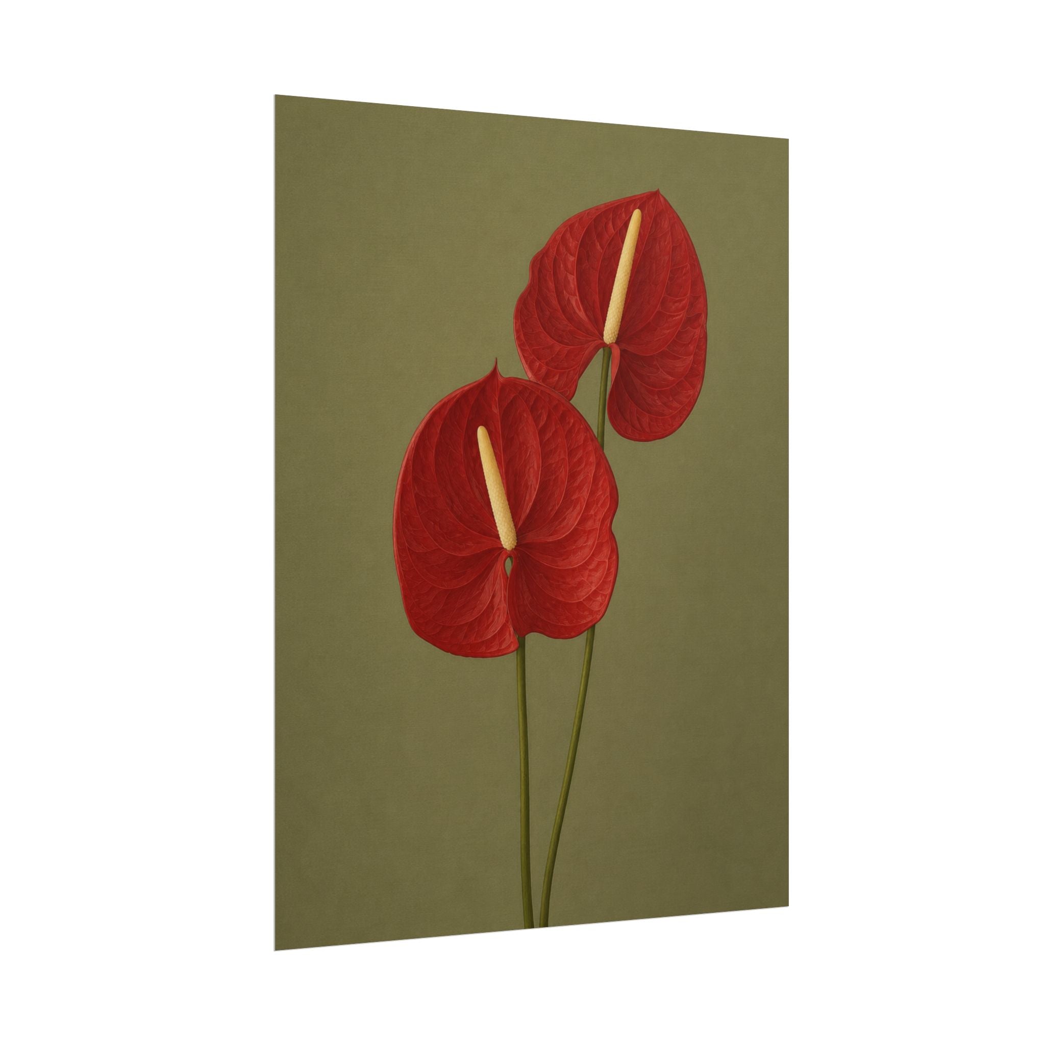 Red Anthurium Print
