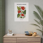 Anthurium Botanical Print